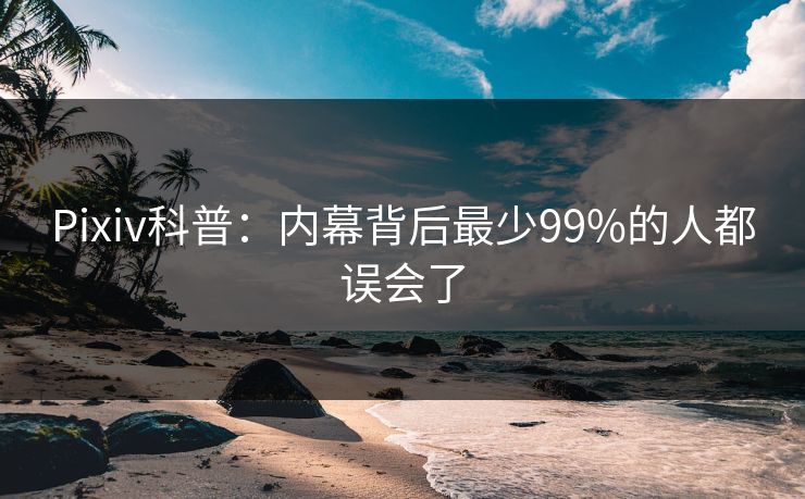 Pixiv科普：内幕背后最少99%的人都误会了