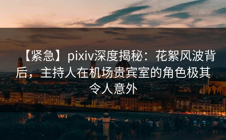 【紧急】pixiv深度揭秘：花絮风波背后，主持人在机场贵宾室的角色极其令人意外