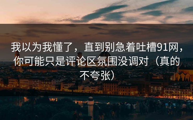 我以为我懂了，直到别急着吐槽91网，你可能只是评论区氛围没调对（真的不夸张）