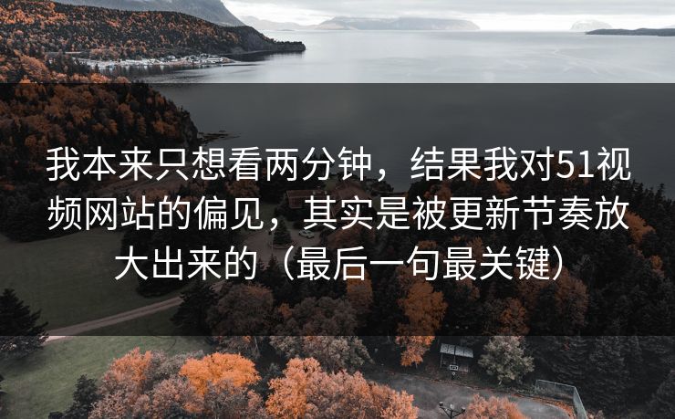 我本来只想看两分钟，结果我对51视频网站的偏见，其实是被更新节奏放大出来的（最后一句最关键）