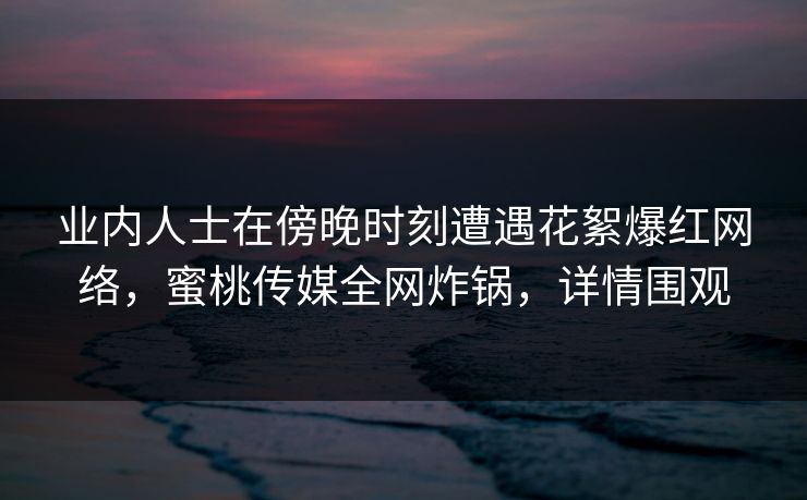 业内人士在傍晚时刻遭遇花絮爆红网络，蜜桃传媒全网炸锅，详情围观